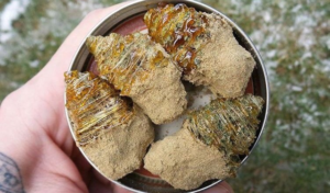 Sun rock [ 30grams ]