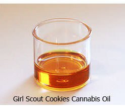 Girl Scout Cookies Cannabis Oil [10 grams]
