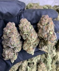 Purple space cookies  [ 30grams ]