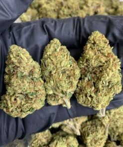 Purple unicorn strain  [ 30grams ]