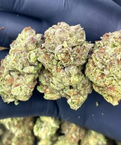 Walter white [ 30grams ]