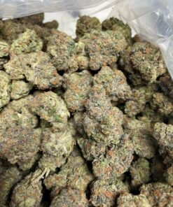 Tiger's milk [ 30grams ]