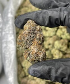 Black Domina [ 30grams ]