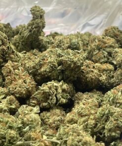 Purple berry cannabis