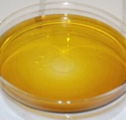 HIGH THC cannabis oil 70%+ [5grams]