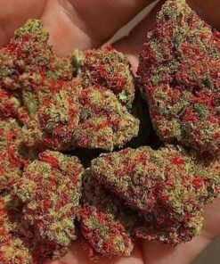 God's Gift  [ 30grams ]