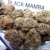 Black mamba [ 30grams ]