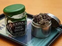 Kiona purple unicorn  [ 30grams ]