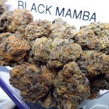 Black mamba [ 30grams ]