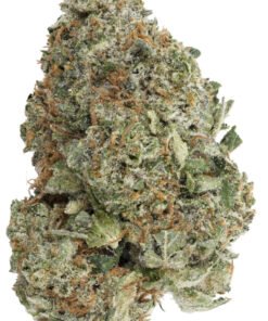 Gas Mask [ 30grams ]