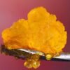 Buy Live Resin USA